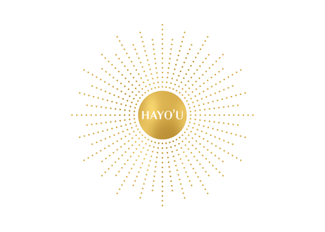 HAYO&#39;U JADE BEAUTY RESTORER FACIAL MASSAGE TOOL